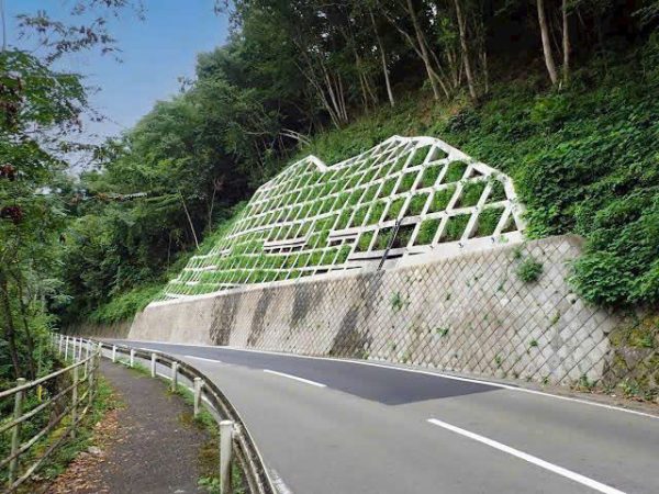 XÂY DỰNG TỔNG HỢP
